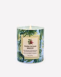 Bath & Body Works Single Wick Candle